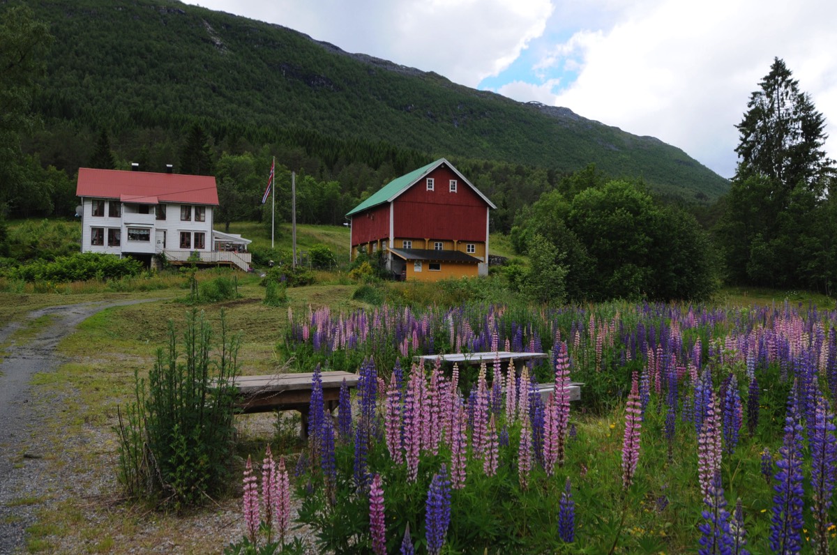 Lupin House